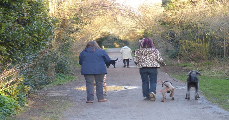 Image for the news article titled DTC Sponsors Dog Training Day at HIgh Meadow Saturday 26th March