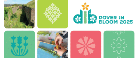 Project image: Dover In Bloom